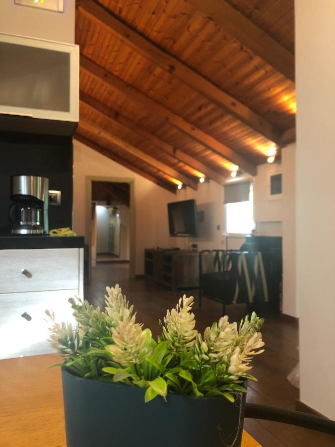 Zack's Piccolo Comfort Atene Esterno foto